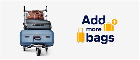 lufthansa extra baggage booking.